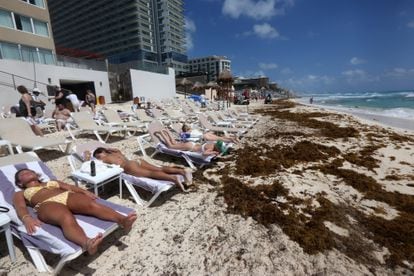 Turistas toman el sol rodeados de sargazo en Playa Coral, Cancún, este martes.