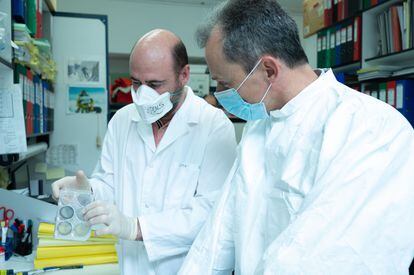 El investigador Juan García Arriaza y el ministro Pedro Duque, en el Centro Nacional de Biotecnología, en Madrid, el 16 de abril.