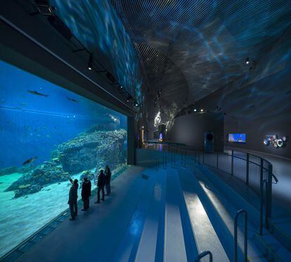 Uno de los tanques del Planeta Azul en el que el visitante puede 'sumergirse' en el mundo submarino.