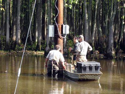 Instalaciones de cámaras en una zona pantanosa de Tejas.