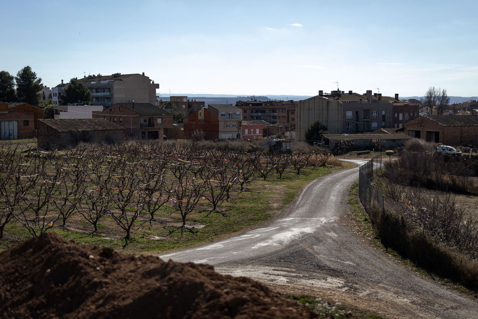 Unos los campos de cultivo de fruta en Alcarràs.