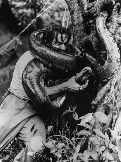 El periodista, siendo atacado por una anaconda en la selva.