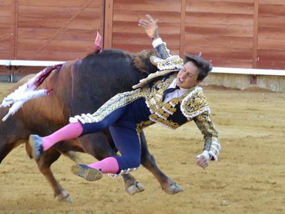 Un toro cornea a Roca Rey en Palencia. 