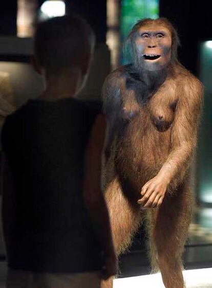 Reproduccción de <i>Lucy,</i> homínido de la especie <i>Australopithecus afarensis</i> exhibida en el Museo de la Ciencia de la Fundación La Caixa, en Barcelona.