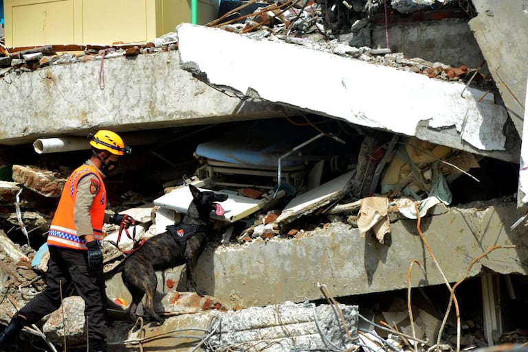A police officer searches for victims with a K9 unit sniffer dog among the ruins of a hospital building that collapsed after an earthquake in Mamuju, West Sulawesi province, Indonesia.