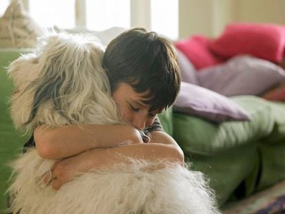 Un niño abraza a su perro
