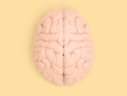 Salir con amigos y otras actividades de ocio que potenciarán su cerebro, según la ciencia