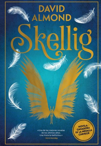 Cover of 'Skellig' by David Almond.