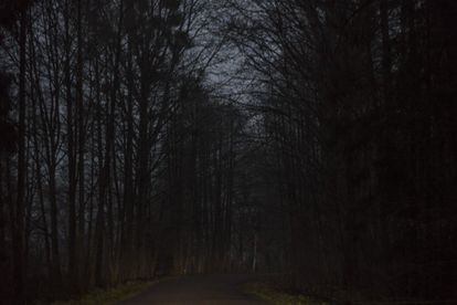 Una vez en el lado polaco del bosque de Bialowieza, los migrantes son buscados por guardias fronterizos, policías, soldados y fuerzas de defensa territorial. En la región de Hajnowka, prácticamente uno de cada dos coches circulando por la carretera pertenece a las fuerzas del orden. 