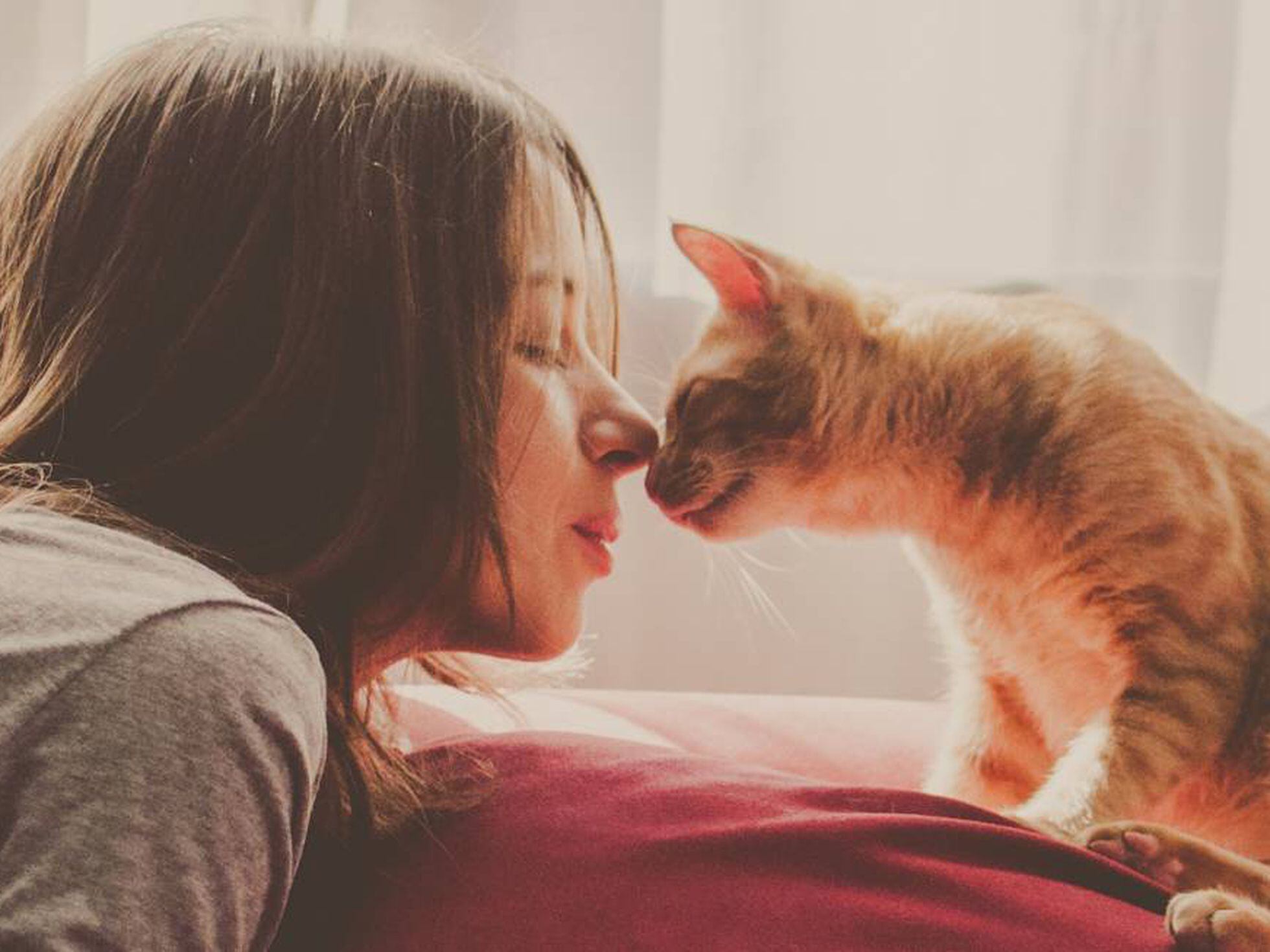 vacuna para acabar con la alergia a tu gato Bienestar | BuenaVida | EL PAÍS