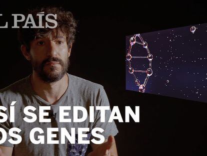 CRISPR: ¿Cómo funciona la edición genética?