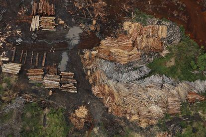 Madera acumulada en un aserradero del distrito de Porto Velho procedente de la tala ilegal de la Amazonia. 