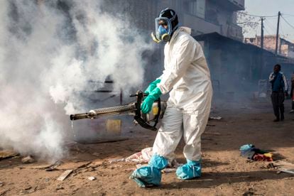 Un trabajador municipal desinfecta en el barrio de Medina, en Dakar, en el marco de la lucha contra el coronavirus.