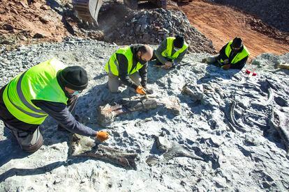 El equipo de paleontólogos con los restos del dinosaurio emparentado con el 'Iguanodon' de hace 126 millones de años, en el yacimiento de Mas Palau en Morella. .