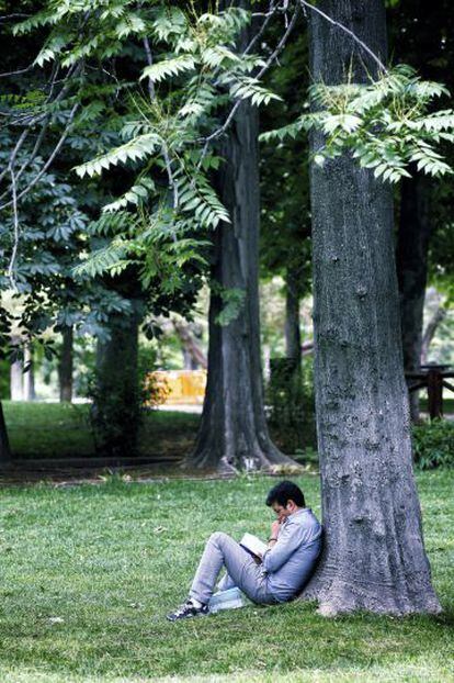 Un lector en el Parque del Retiro de Madrid.