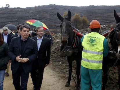 Ignacio Gonz&aacute;lez visita los trabajos de limpieza del &aacute;rea quemada.