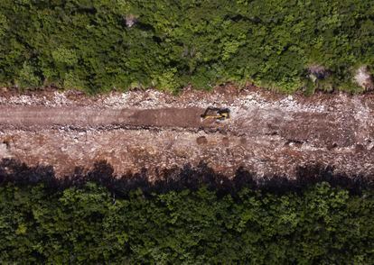 Un bulldozer destruye árboles para abrir paso a la construcción del Tren Maya, en Puerto Morelos (Estado de Quintana Roo), el 2 de agosto.