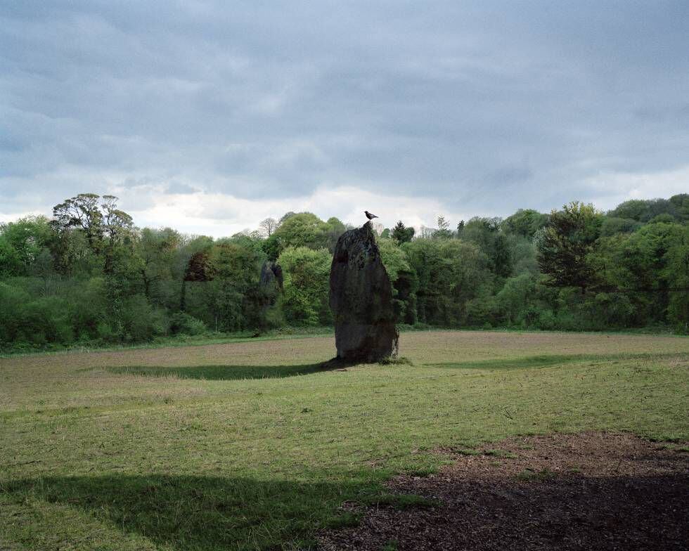 Imagen de la exposición 'A grove of trees from a point of view', en el Museo del Romanticismo.