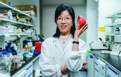 Hailan Hu, una neurocientífica que estudia la depresión, sostiene una reproducción de un cerebro en su laboratorio.