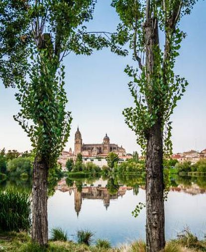 Las catedrales Nueva y Vieja de Salamanca desde el río Tormes.