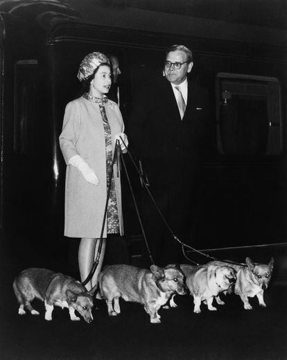 Isabel II llegando a la estación de King's Cross, en Londres, el 15 de octubre de 1969 con sus cuatro corgis después de unas vacaciones en el castillo de Balmoral. Acostumbraba a viajar con sus mascotas, por lo que las imágenes de la reina II rodeada de corgis eran habituales.
