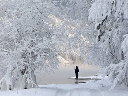 Entorno natural en la provincia siberiana de Krasnoyarsk.