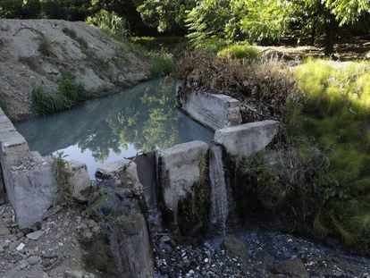 Vertido de aguas residuales al arroyo Mortaja en Coín (Málaga).