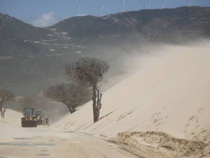Trabajos en la carretera que une Tarifa y Valdevaqueros, para evitar que la duna engulla la carretera.