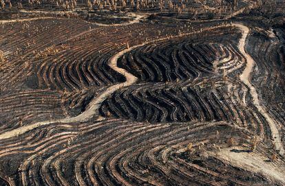 Vista aérea de la zona afectada por el fuego en Minas de Riotinto/Berrocal (Huelva y Sevilla) en 2004, el mayor incendio registrado en España, que arrasó 29.867 hectáreas de matorral, eucaliptos, pinos y alcornoques.
