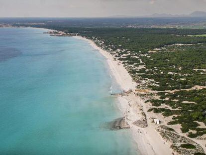 Vista a&eacute;rea de la playa de Es Trenc, donde el Gobierno balear plantea construir un complejo hotelero. / tolo ram&oacute;n