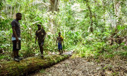 Pigmeos baka en la selva de la reserva de la biosfera de Dja, en Camerún.