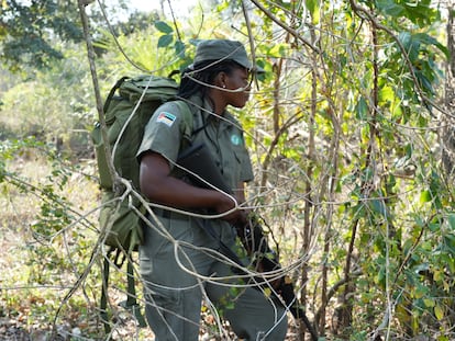 En la foto, la guarda forestal Antonia Albano Vasco patrulla el Parque Nacional de Gorongosa, en Mozambique, el pasado agosto.