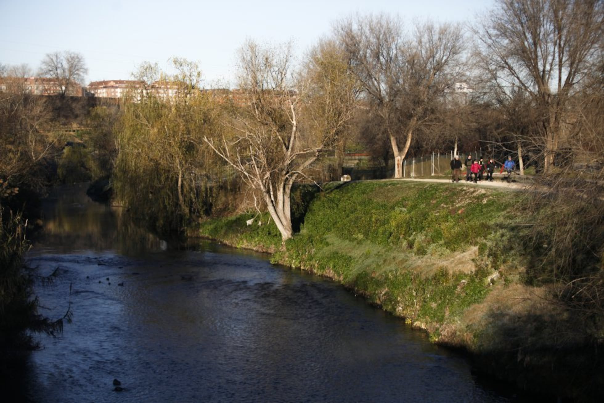 El tramo más desconocido del Parque Lineal del Manzanares | Fotos ...