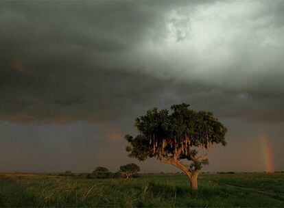 El hombre y la naturaleza es uno de los temas abordados en <i>El libro de los saberes.</i>