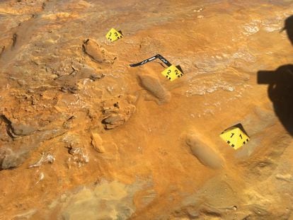 Rastro de tres pasos de un adulto neandertal hallado en Matalascañas (Huelva), en la misma superficie que un conjunto de huellas de elefantes de colmillos rectos, algunos neonatos.
