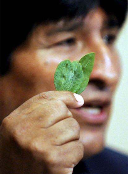 Evo Morales muestra hojas de coca en Viena el pasado marzo.
