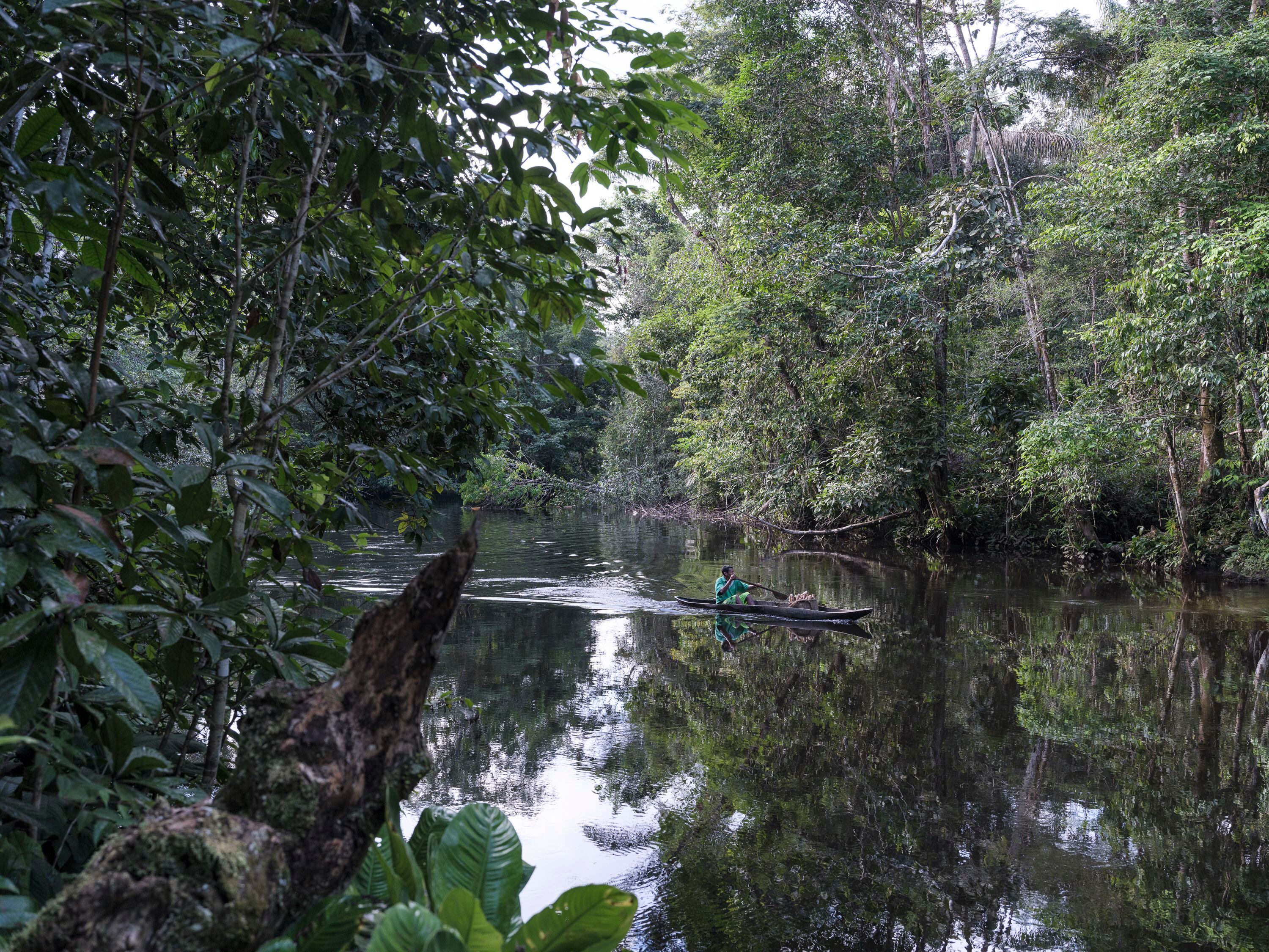 La selva amazónica en Murutinga, una comunidad cerca de Mitú, la capital del Vaupés.