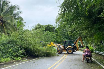 Trabajadores levantan con maquinaria los árboles derribados por el paso del huracán 'Julia', en San Andrés (Colombia). 