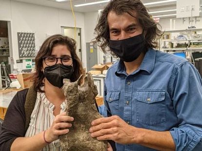 paleontólogos Mónica Carvalho y Jeff Wilson con la vértebra del nuevo dinosaurio ‘Perijasaurus lapaz’