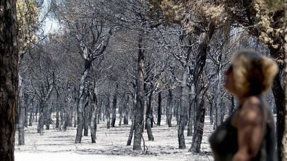 Una mujer observa las consecuencias del fuego en Doñana este verano.