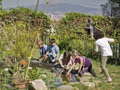Un grupo de niños juega en el estanque que tiene la Escola de Bosc en el patio.
