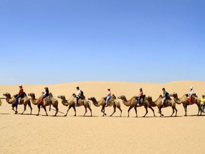 En origen no había camellos en Xiangshanwan, pero la llegada de turistas ha hecho que se incluya en la propia entrada un pequeño paseo a lomos de estos animales.