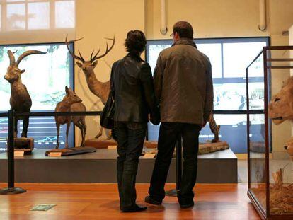 Una sala de exposición del Museo Nacional de Ciencias Naturales.