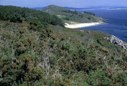 Playa de Melide, en la isla de Ons (Pontevedra, Galicia).