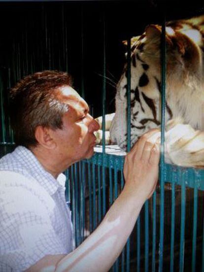 El diputado Sergio Gómez Olivier acaricia a un tigre.