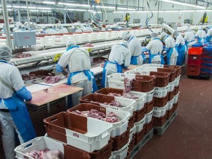 Trabajadores del matadero Fribin, en Bin&eacute;far (Huesca)