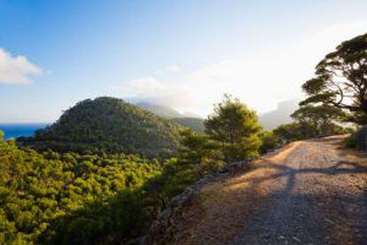 Ruta senderista en la sierra de la Tramontana, en Mallorca.