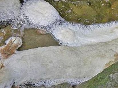 Restos de purines en el torrente de las Paganes, en Esquirol Santa Maria de Corc&oacute;. 