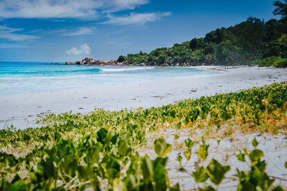 La playa de Anse Cocos, en la isla La Digue, en Seychelles.