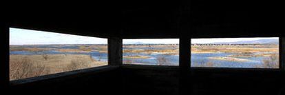 Vista del nuevo estado, otra vez anegado, de las Tablas de Daimiel (Ciudad Real) desde un observatorio para la vigilancia ornitológica. Las lluvias han conseguido recuperar el espacio protegido.